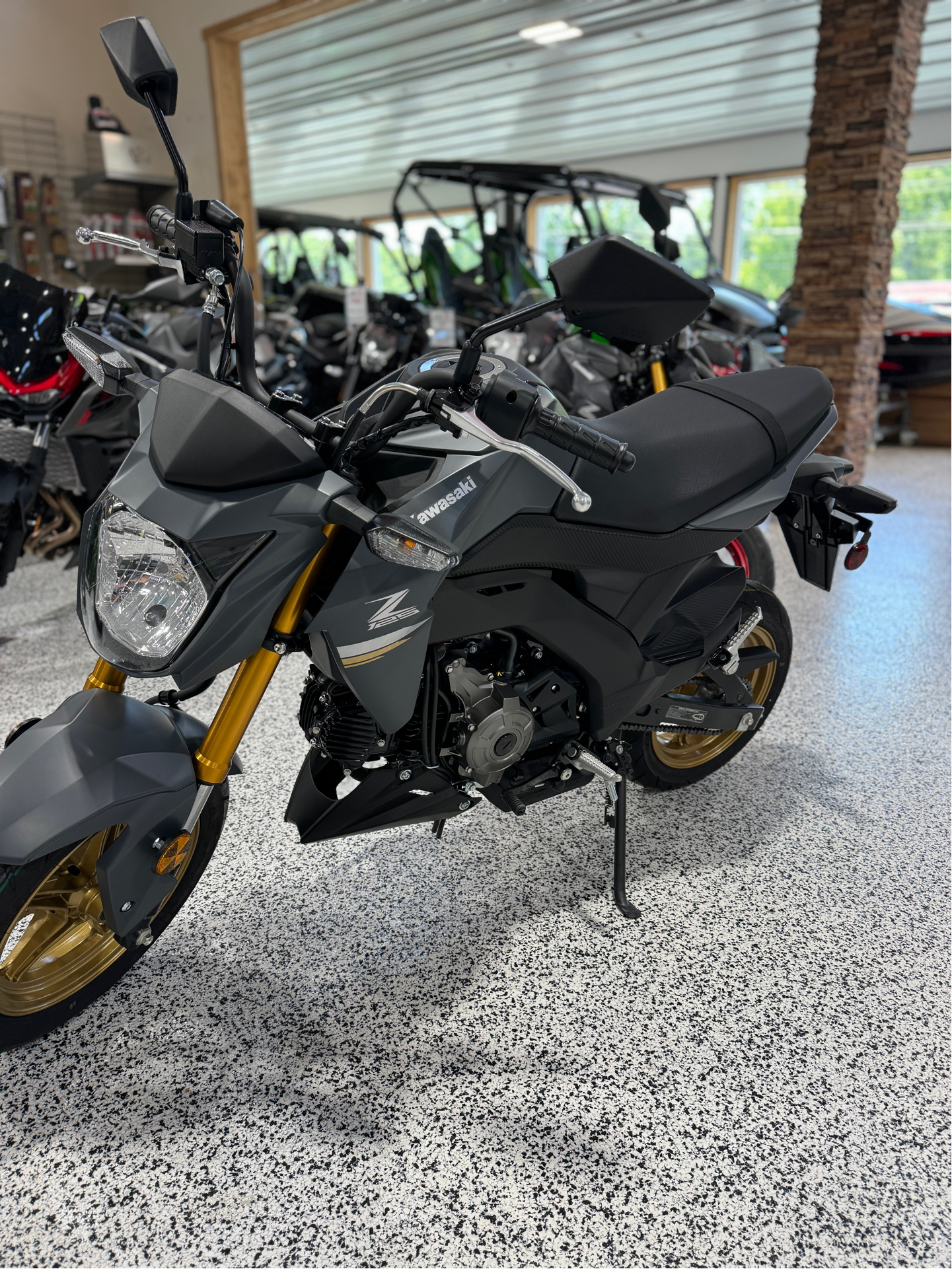 2024 Kawasaki Z125 Pro in Newfield, New Jersey - Photo 7