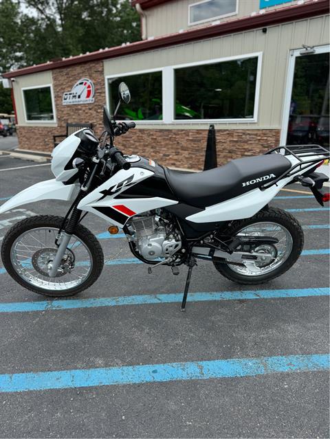 2023 Honda XR150L in Newfield, New Jersey - Photo 3