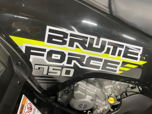 2022 Kawasaki Brute Force 750 4x4i EPS in Brilliant, Ohio - Photo 5