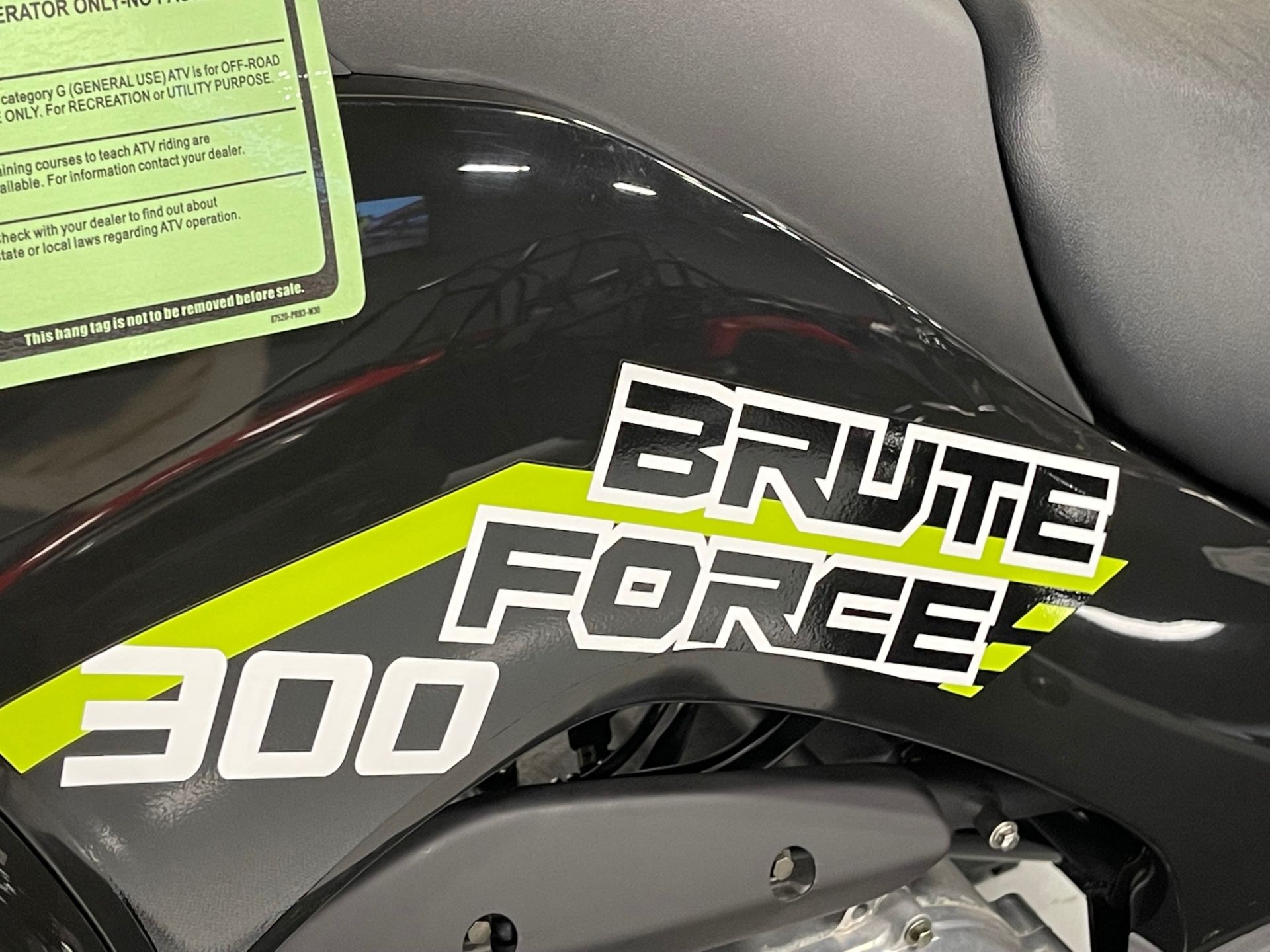 2022 Kawasaki Brute Force 300 in Brilliant, Ohio - Photo 11