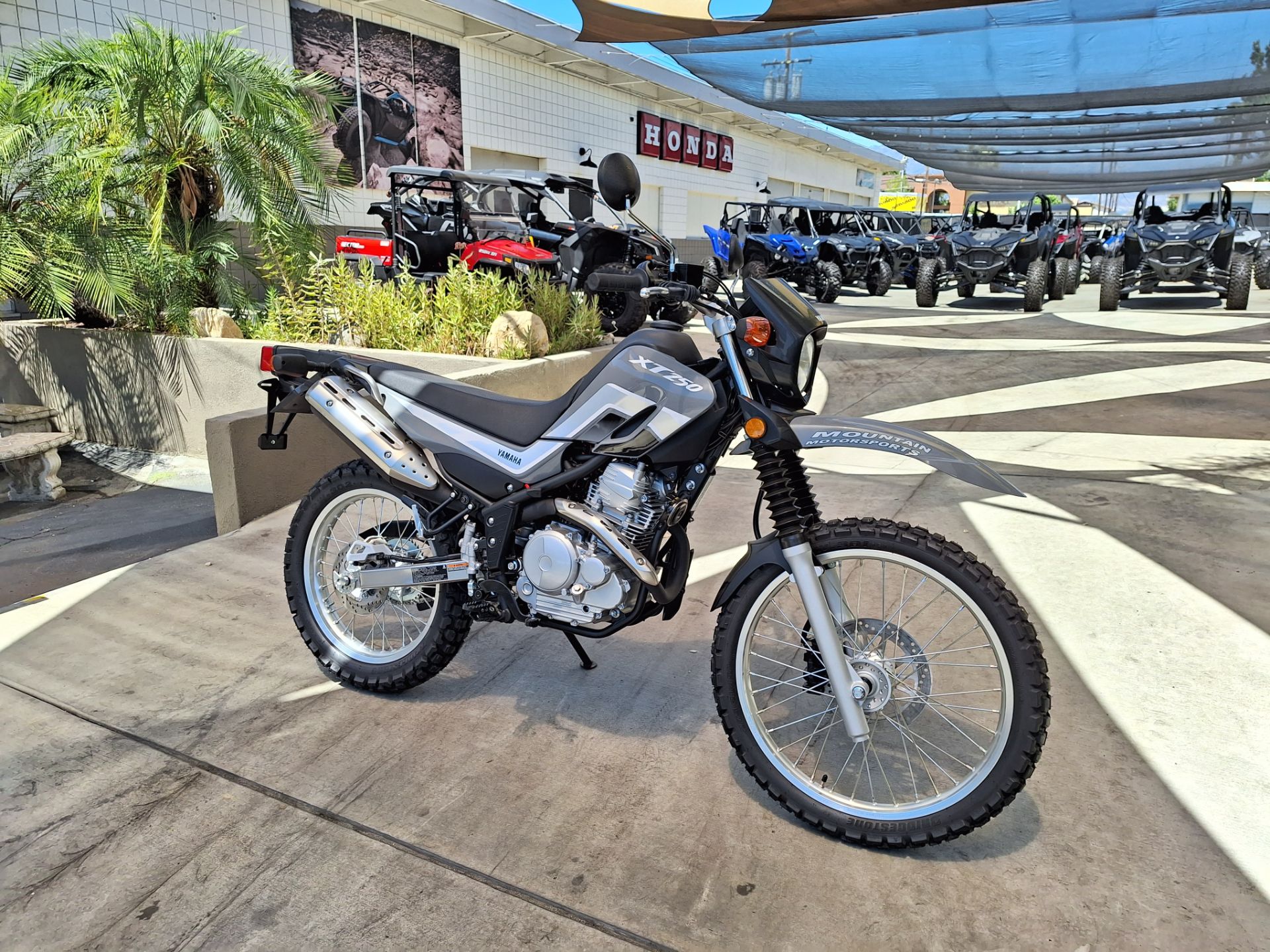 2023 Yamaha XT250 in Ontario, California - Photo 4