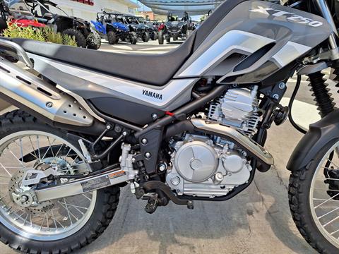 2023 Yamaha XT250 in Ontario, California - Photo 9