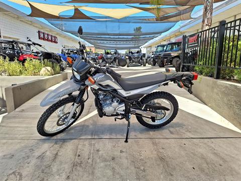 2023 Yamaha XT250 in Ontario, California - Photo 12