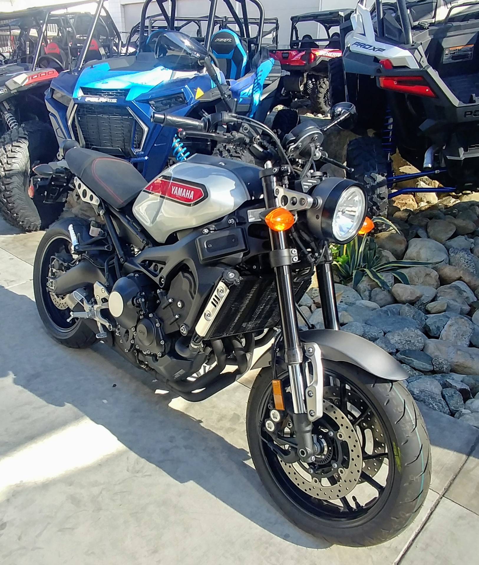 2019 Yamaha XSR900 4