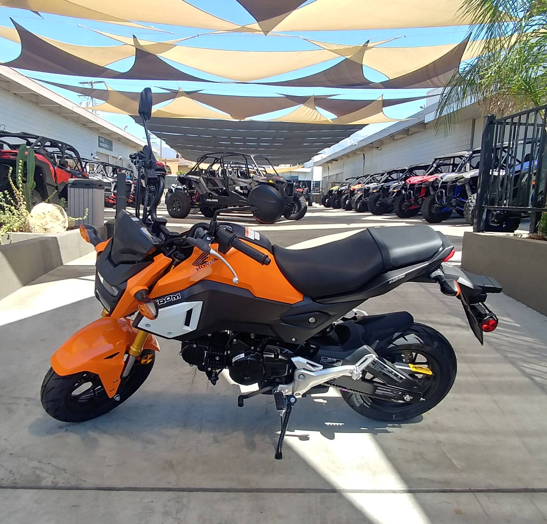 used honda grom for sale