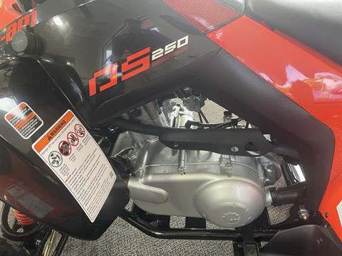 2022 Can-Am DS 250 in Hillman, Michigan - Photo 4