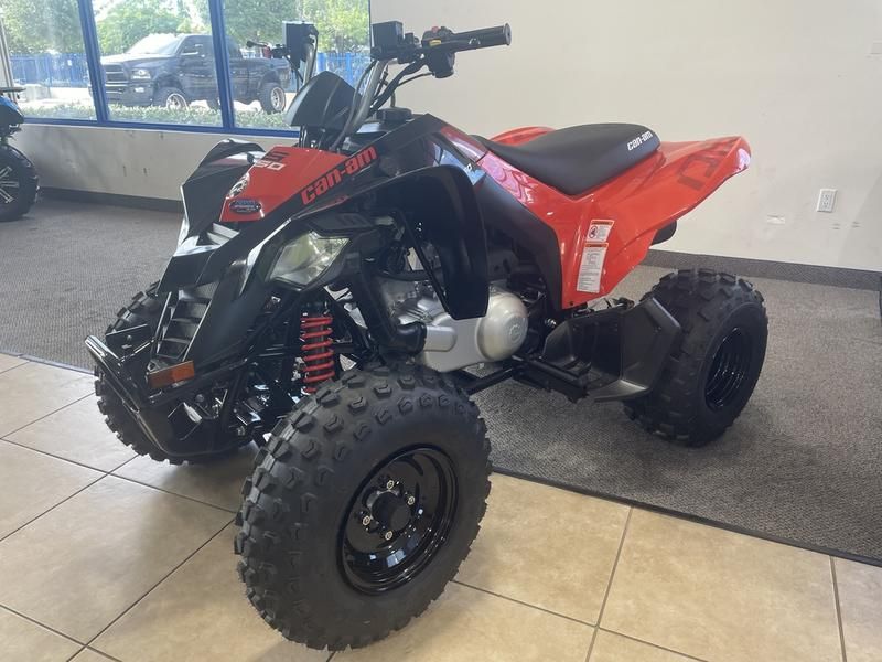 2022 Can-Am DS 250 in Hillman, Michigan - Photo 6