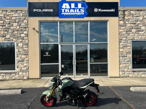 2023 Kawasaki Z125 Pro in Mechanicsburg, Pennsylvania - Photo 1