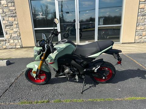 2023 Kawasaki Z125 Pro in Mechanicsburg, Pennsylvania - Photo 2