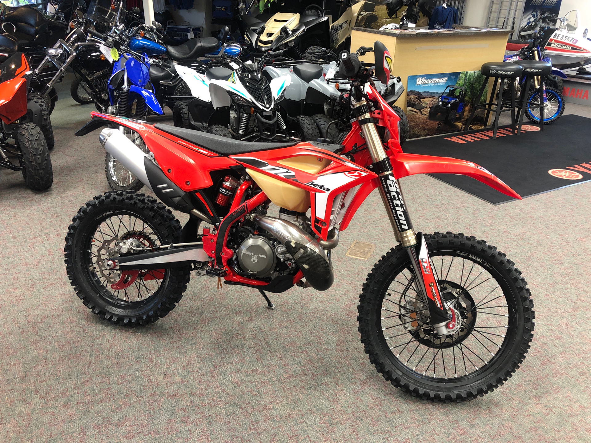 2021 Beta 300 RR 2-Stroke Race Edition in Escanaba, Michigan - Photo 1