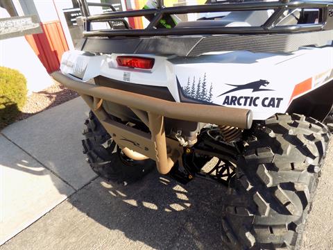 2023 Arctic Cat Alterra 600 Black Hills Edition in Janesville, Wisconsin - Photo 23