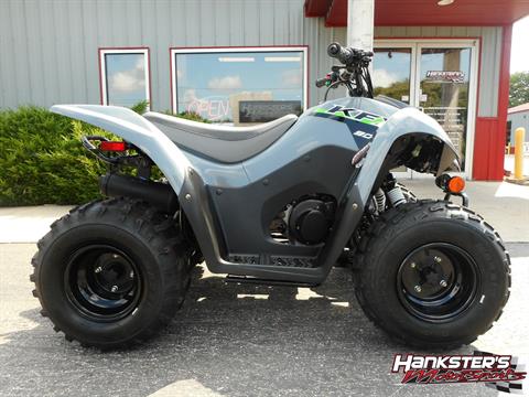 2024 Kawasaki KFX 90 in Janesville, Wisconsin - Photo 1