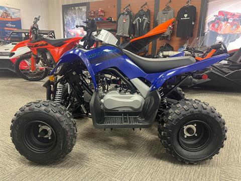 2025 Yamaha Raptor 110 in Amarillo, Texas - Photo 1