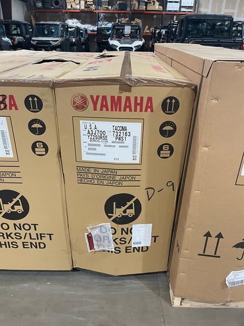 2024 Yamaha YZ250 50th Anniversary Edition in Amarillo, Texas - Photo 1