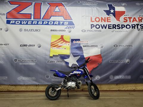 2021 SSR Motorsports SR110 in Amarillo, Texas - Photo 3
