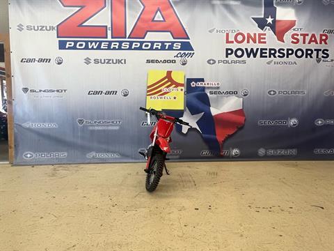 2022 Greenger Powersports CRF E-2 in Clovis, New Mexico - Photo 4