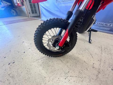 2022 Greenger Powersports CRF E-2 in Clovis, New Mexico - Photo 6