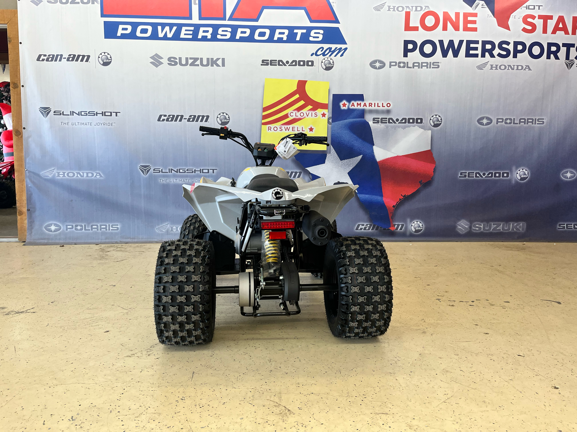 2023 Can-Am Renegade 110 in Clovis, New Mexico - Photo 3