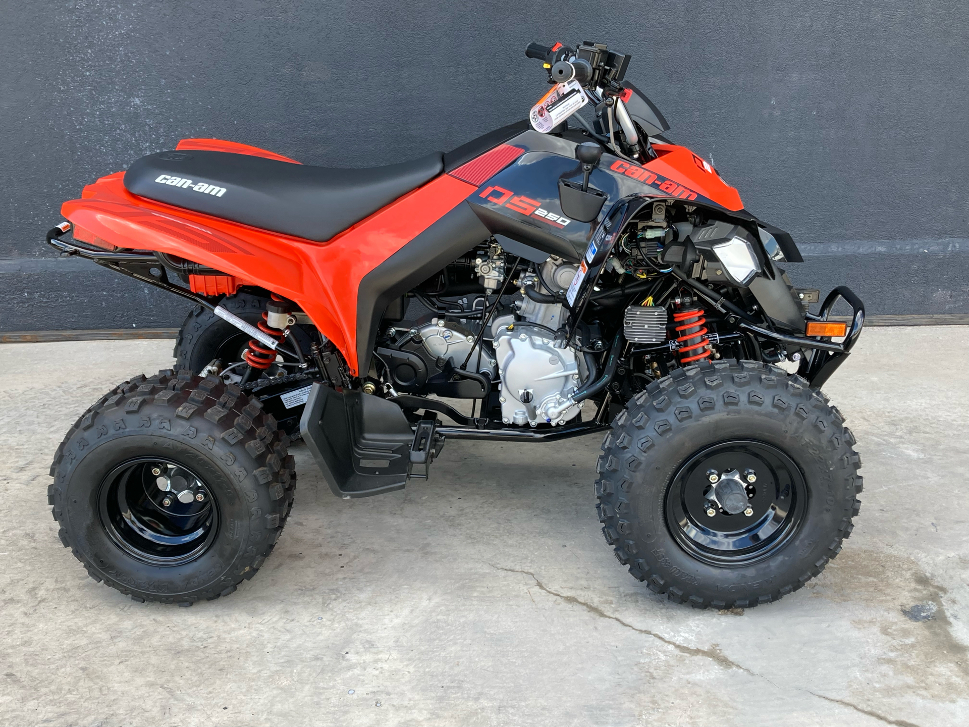 2022 Can-Am DS 250 in Clovis, New Mexico - Photo 2