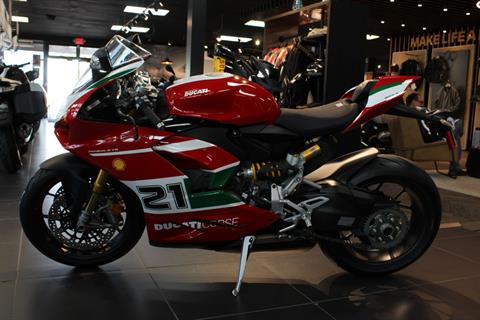 2023 Ducati Panigale V2 Bayliss 1st Championship 20th Anniversary in West Allis, Wisconsin - Photo 11