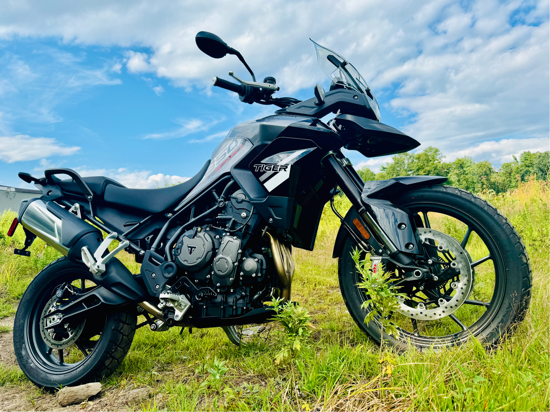 2024 Triumph Tiger 850 Sport in Enfield, Connecticut - Photo 1