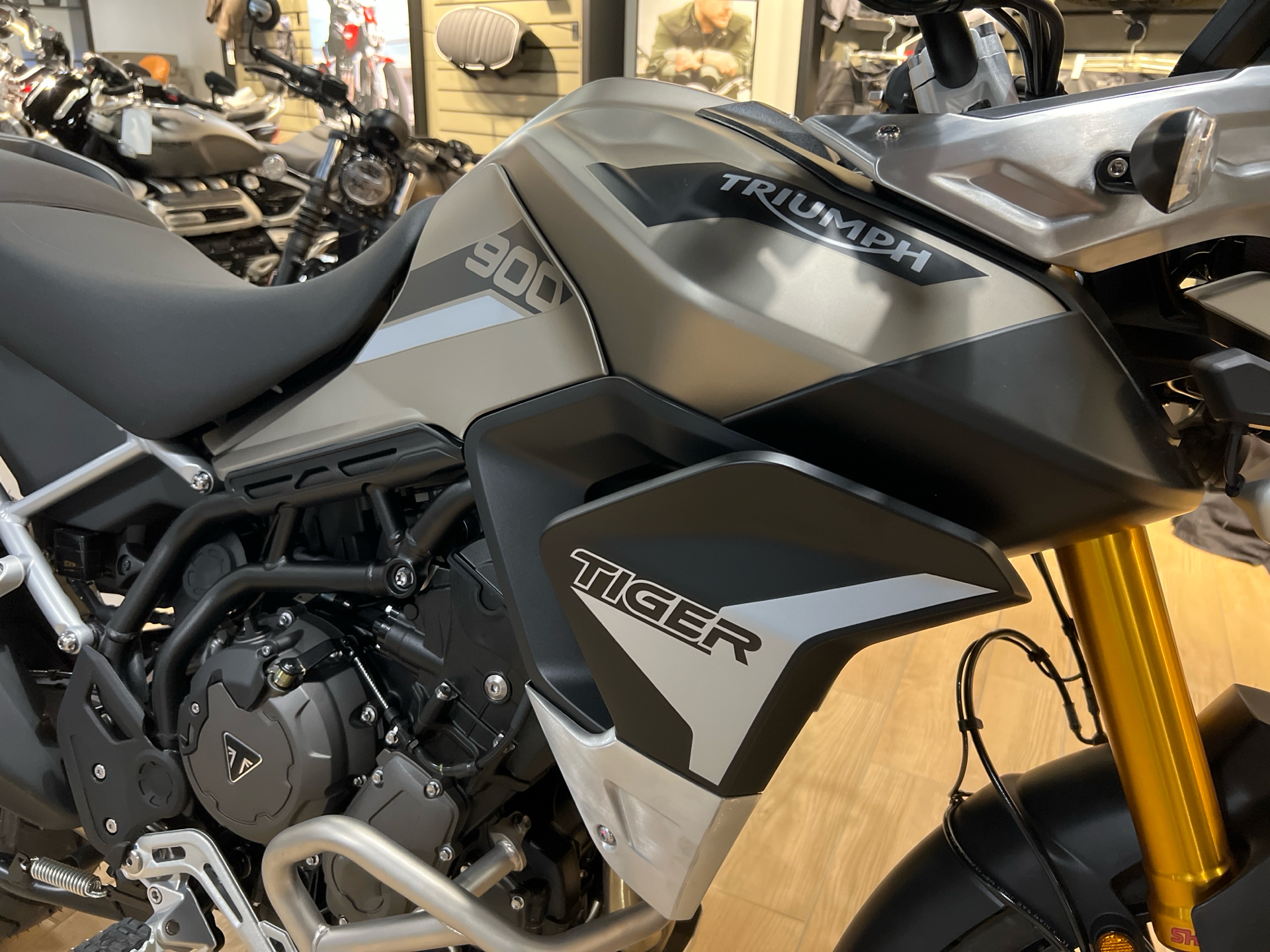 2023 Triumph Tiger 900 Rally Pro in Enfield, Connecticut - Photo 13