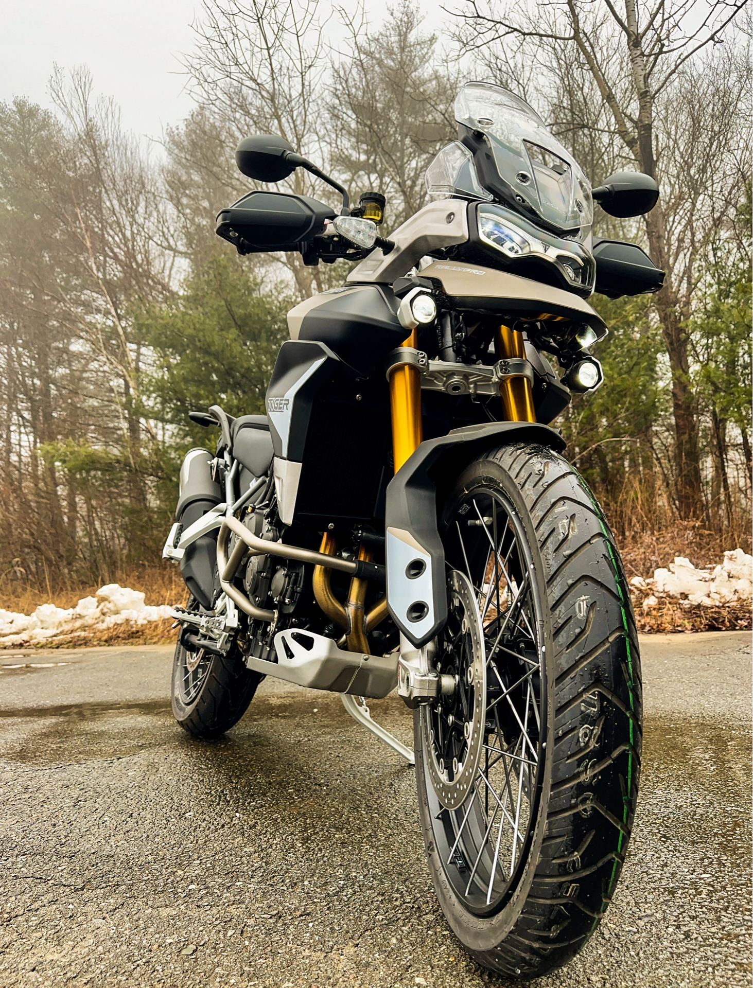 2023 Triumph Tiger 900 Rally Pro in Enfield, Connecticut - Photo 25
