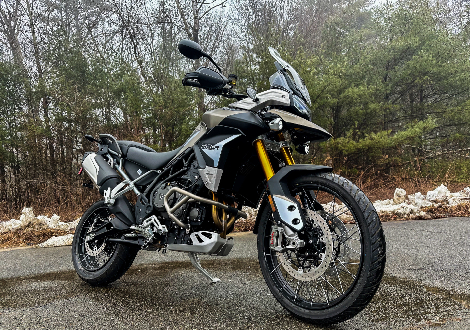 2023 Triumph Tiger 900 Rally Pro in Enfield, Connecticut - Photo 5
