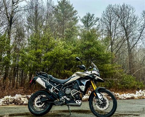 2023 Triumph Tiger 900 Rally Pro in Enfield, Connecticut - Photo 23