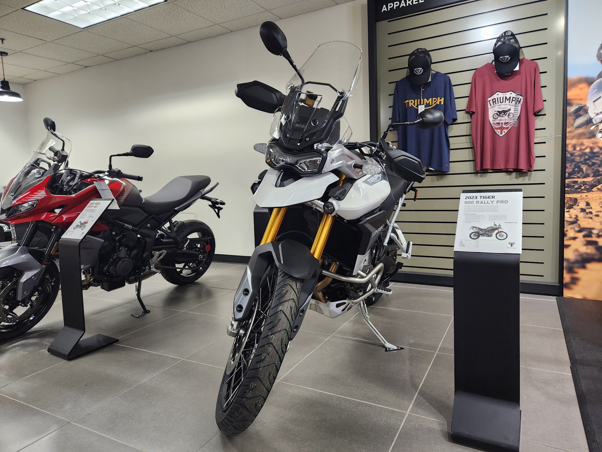 2023 Triumph Tiger 900 Rally Pro in Enfield, Connecticut - Photo 3