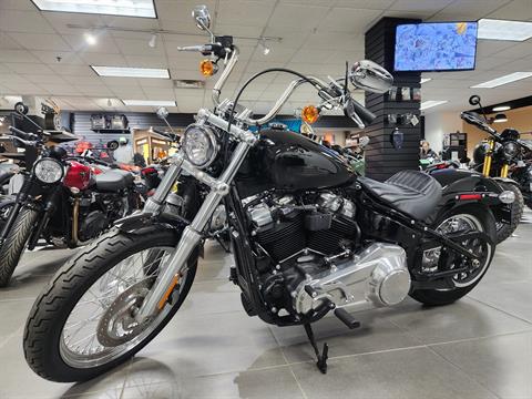 2020 Harley-Davidson Softail® Standard in Enfield, Connecticut - Photo 1