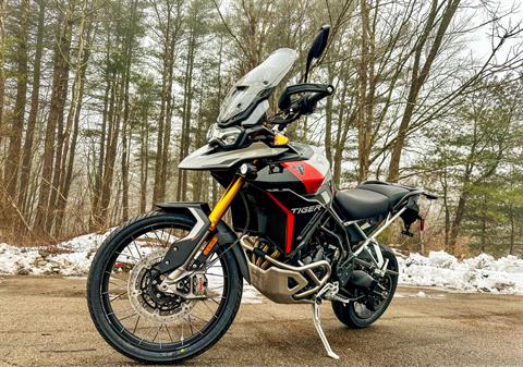 2024 Triumph Tiger 900 Rally Pro in Enfield, Connecticut - Photo 24