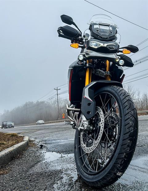 2024 Triumph Tiger 900 Rally Pro in Enfield, Connecticut - Photo 20