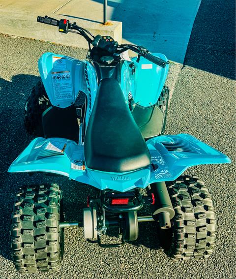 2025 Yamaha Raptor 110 in Gorham, New Hampshire - Photo 3