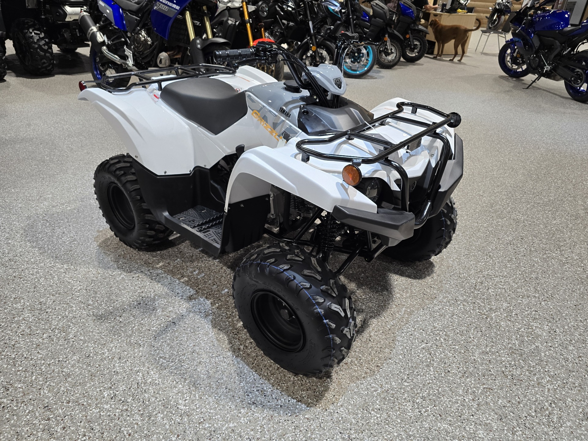 2024 Yamaha Grizzly 90 in Gorham, New Hampshire - Photo 1