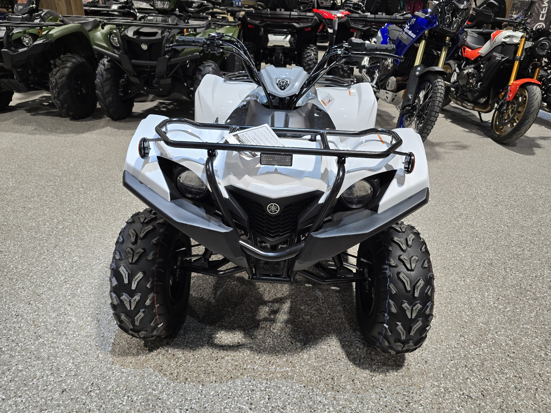 2024 Yamaha Grizzly 90 in Gorham, New Hampshire - Photo 8
