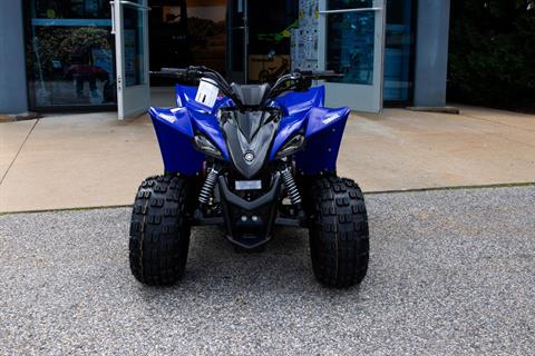 2025 Yamaha YFZ50 in Manchester, New Hampshire - Photo 3