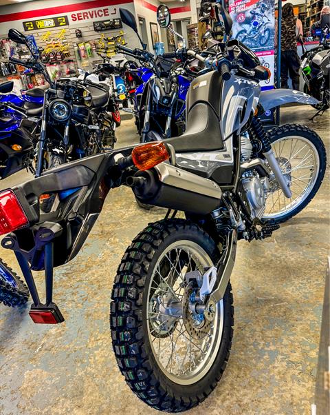 2024 Yamaha XT250 in Manchester, New Hampshire - Photo 4