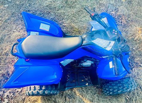 2025 Yamaha Raptor 110 in Manchester, New Hampshire - Photo 9