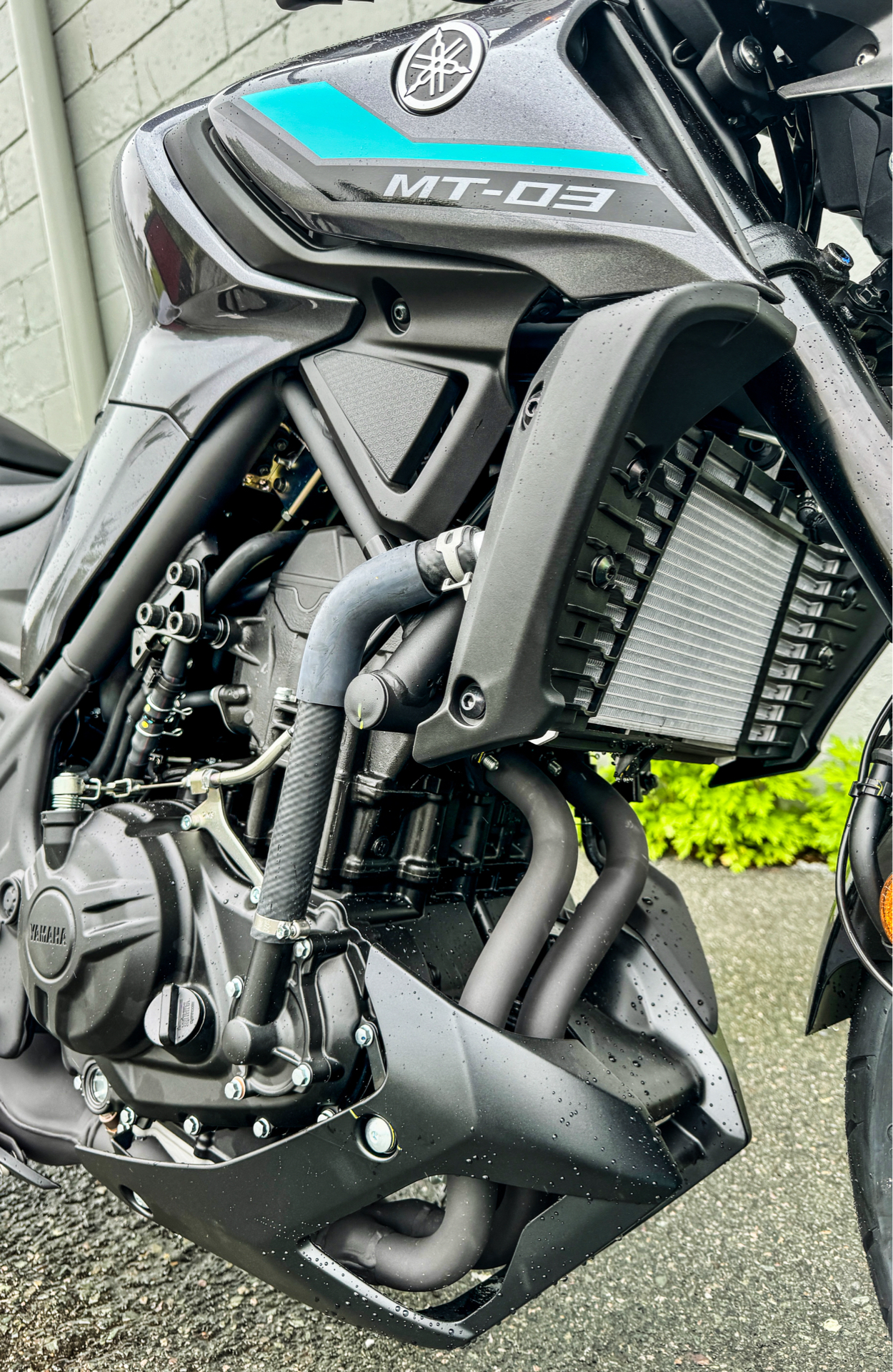 2024 Yamaha MT-03 in Manchester, New Hampshire - Photo 13