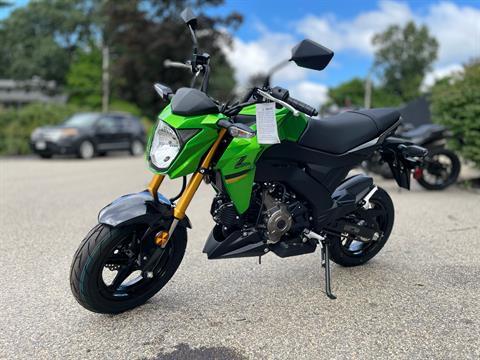 2024 Kawasaki Z125 Pro in North Chelmsford, Massachusetts - Photo 2