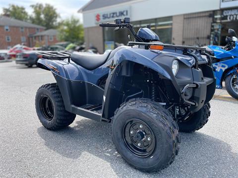 2025 Kawasaki Brute Force 300 in North Chelmsford, Massachusetts - Photo 3