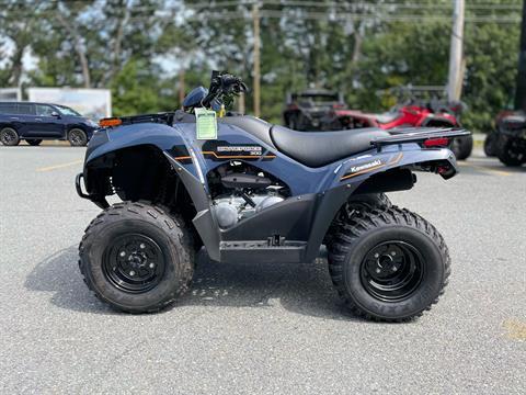 2025 Kawasaki Brute Force 300 in North Chelmsford, Massachusetts - Photo 6