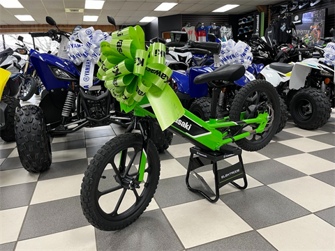 2023 Kawasaki Elektrode in Enfield, Connecticut - Photo 2