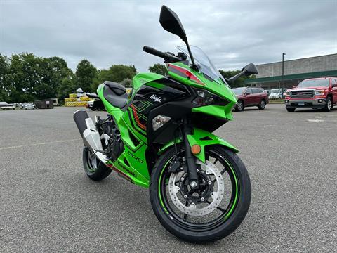 2024 Kawasaki Ninja 500 KRT Edition in Enfield, Connecticut - Photo 8
