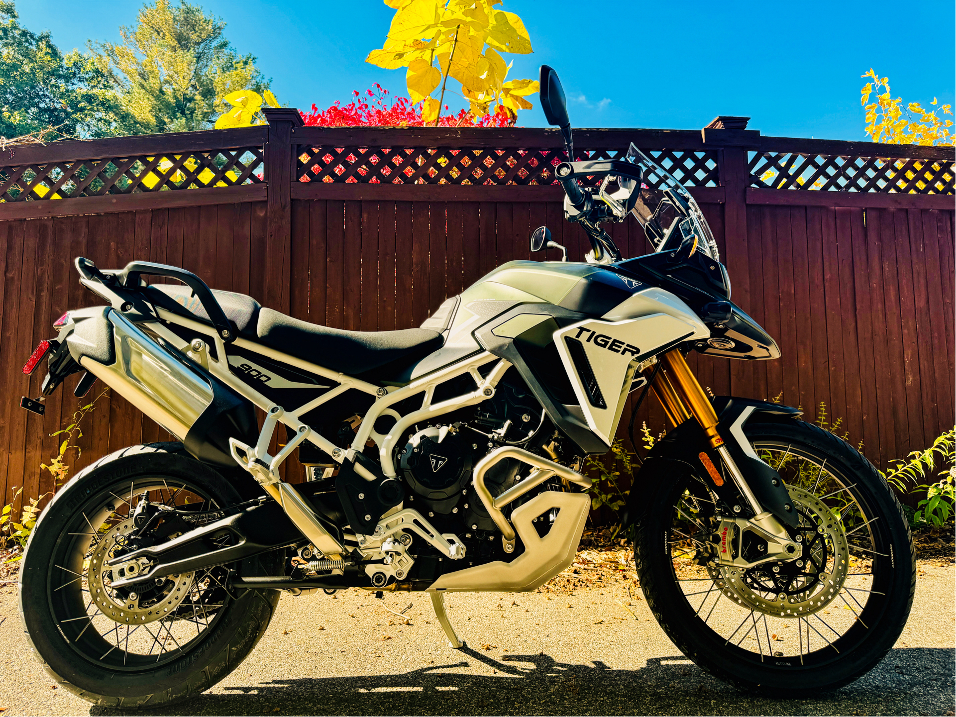 2025 Triumph Tiger 900 Rally Pro in Tyngsboro, Massachusetts - Photo 1