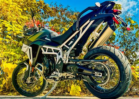 2025 Triumph Tiger 900 Rally Pro in Tyngsboro, Massachusetts - Photo 3