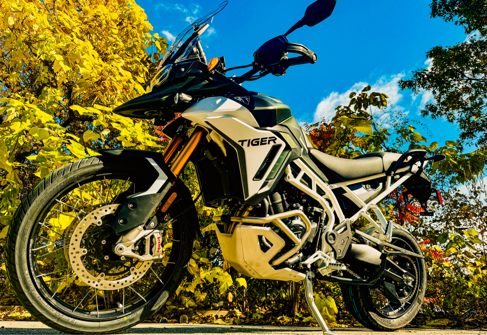 2025 Triumph Tiger 900 Rally Pro in Tyngsboro, Massachusetts - Photo 11