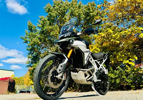 2025 Triumph Tiger 900 Rally Pro in Tyngsboro, Massachusetts - Photo 27