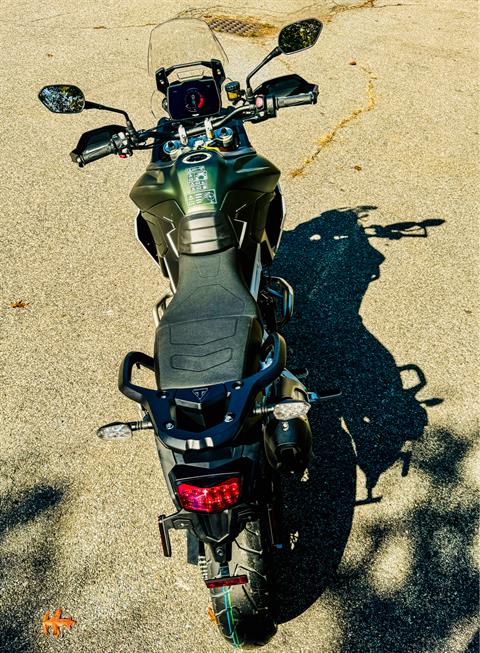 2025 Triumph Tiger 900 Rally Pro in Tyngsboro, Massachusetts - Photo 13